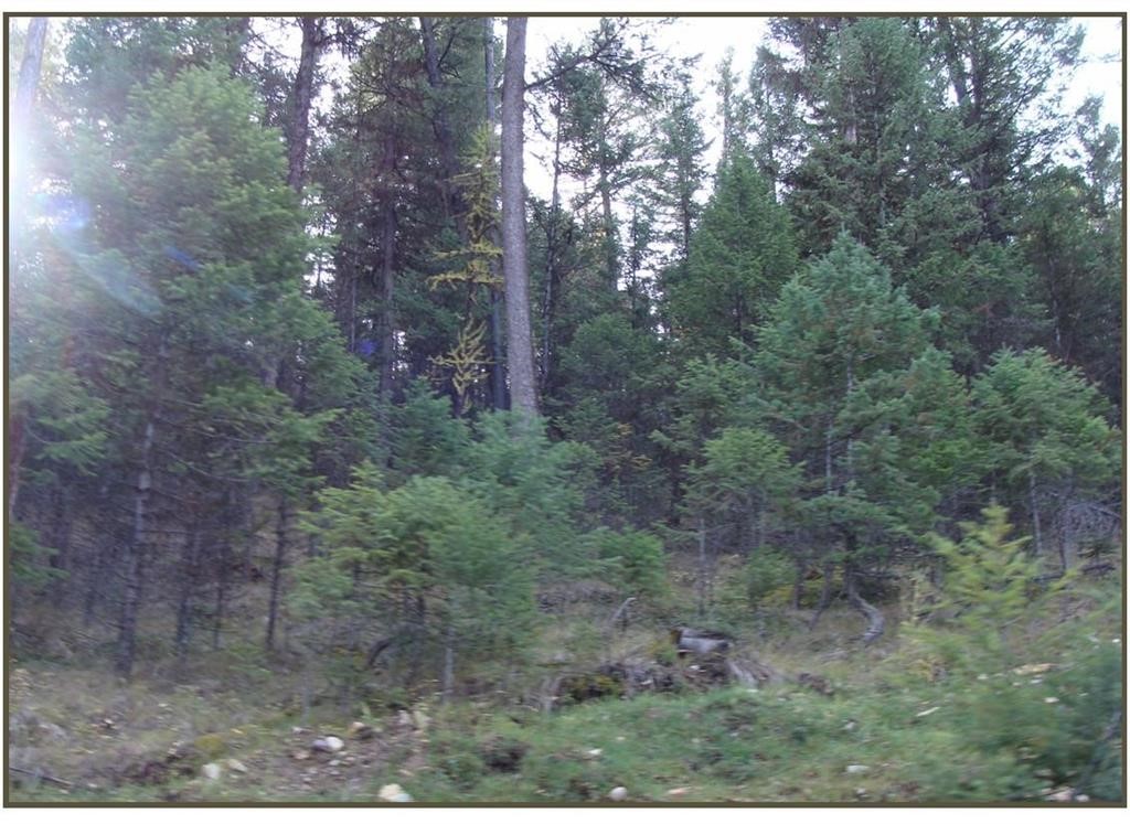 Lot 7 Whispering Pines Subdivision Property Photo