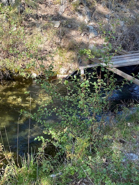 Nhn Stacy Lane Property Photo 8