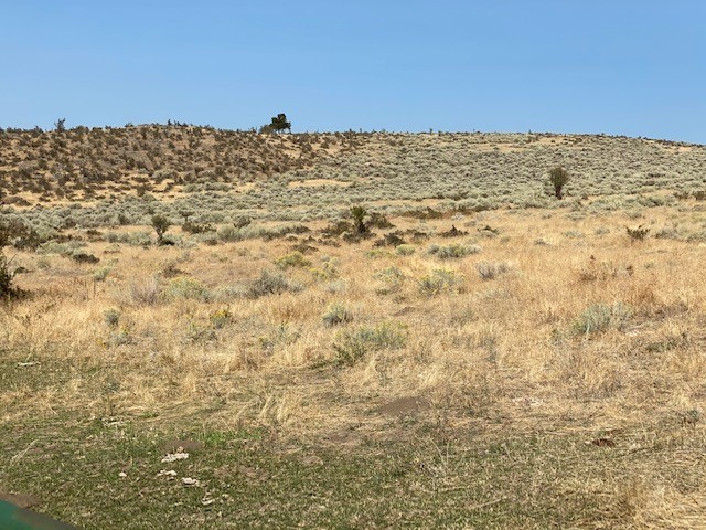 Nhn Stacy Lane Property Photo 15