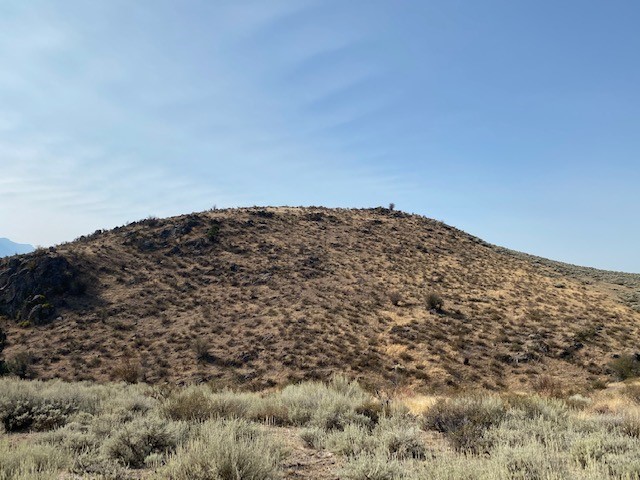 Nhn Stacy Lane Property Photo 31