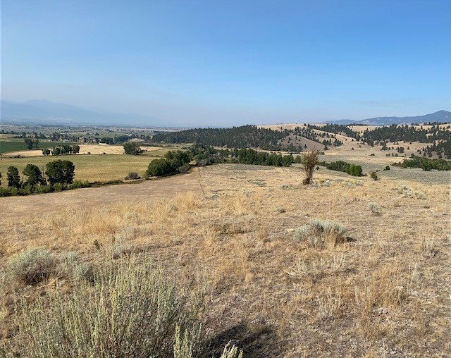 Nhn Stacy Lane Property Photo 34