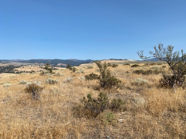 Nhn Stacy Lane Property Photo 35