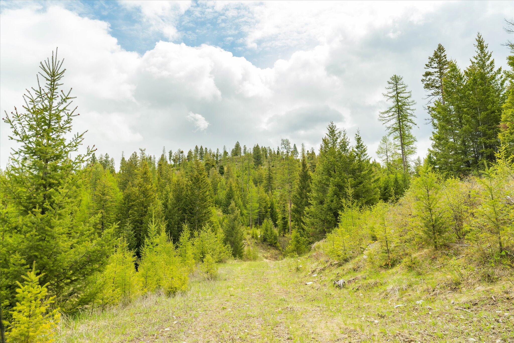 Nhn Coon Hollow Road Property Photo 12
