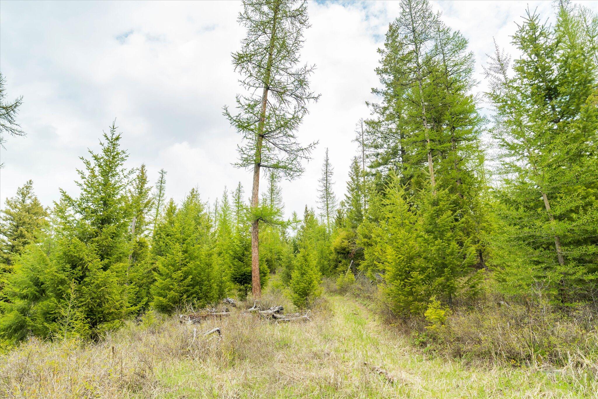 Nhn Coon Hollow Road Property Photo 13