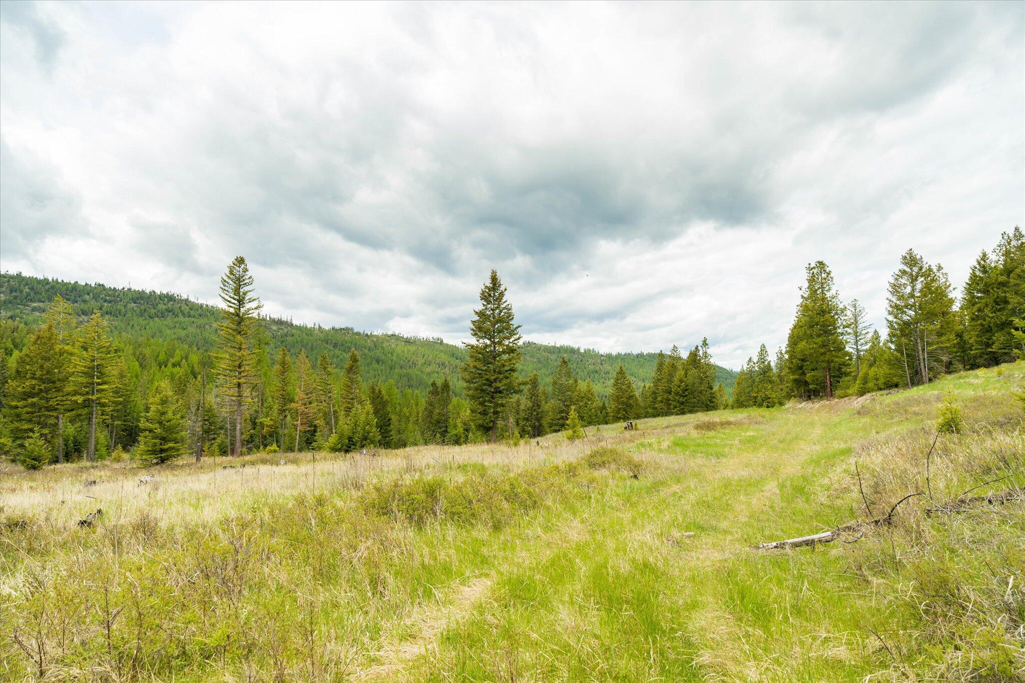 Nhn Coon Hollow Road Property Photo 15