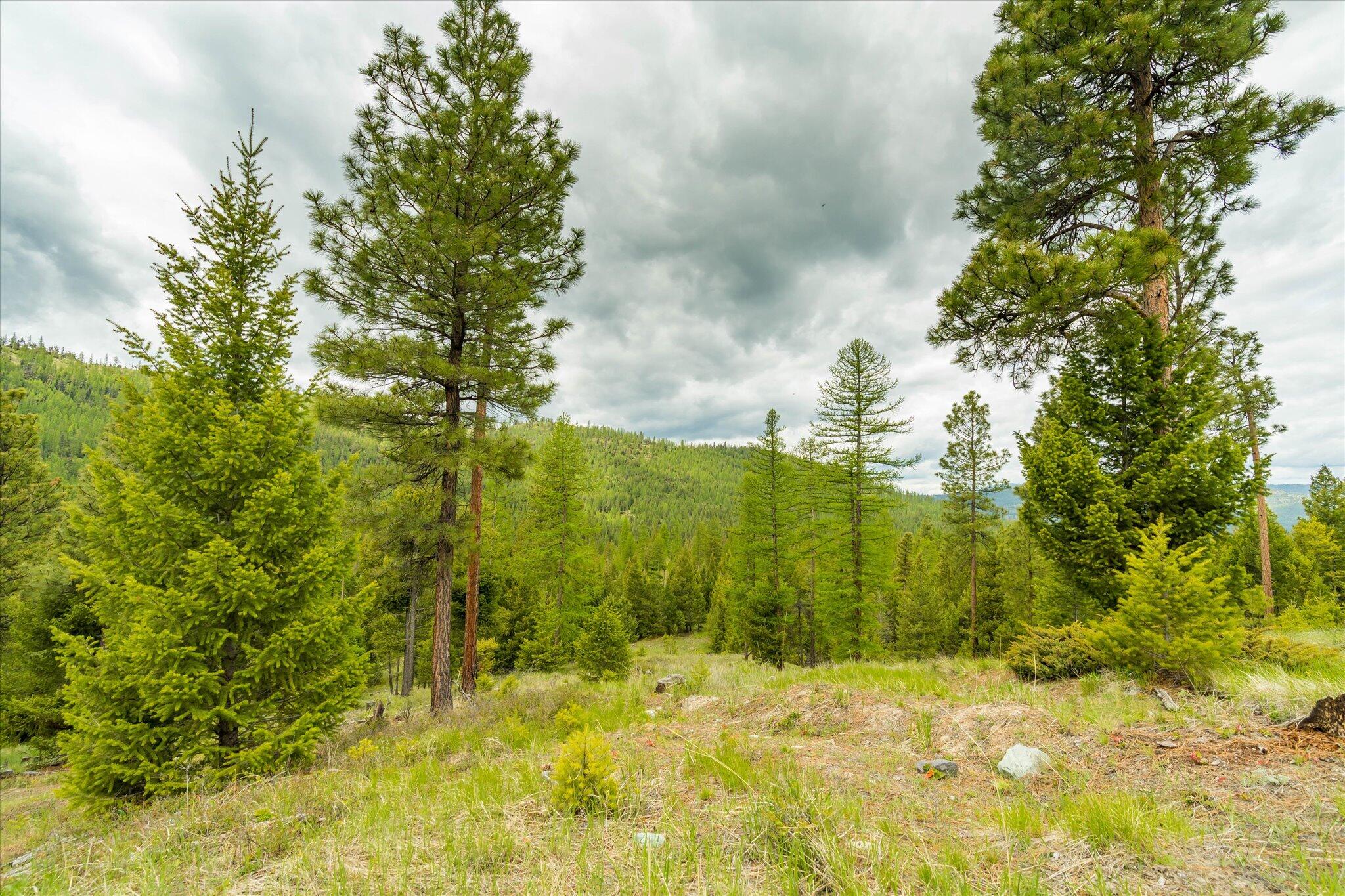 Nhn Coon Hollow Road Property Photo 17