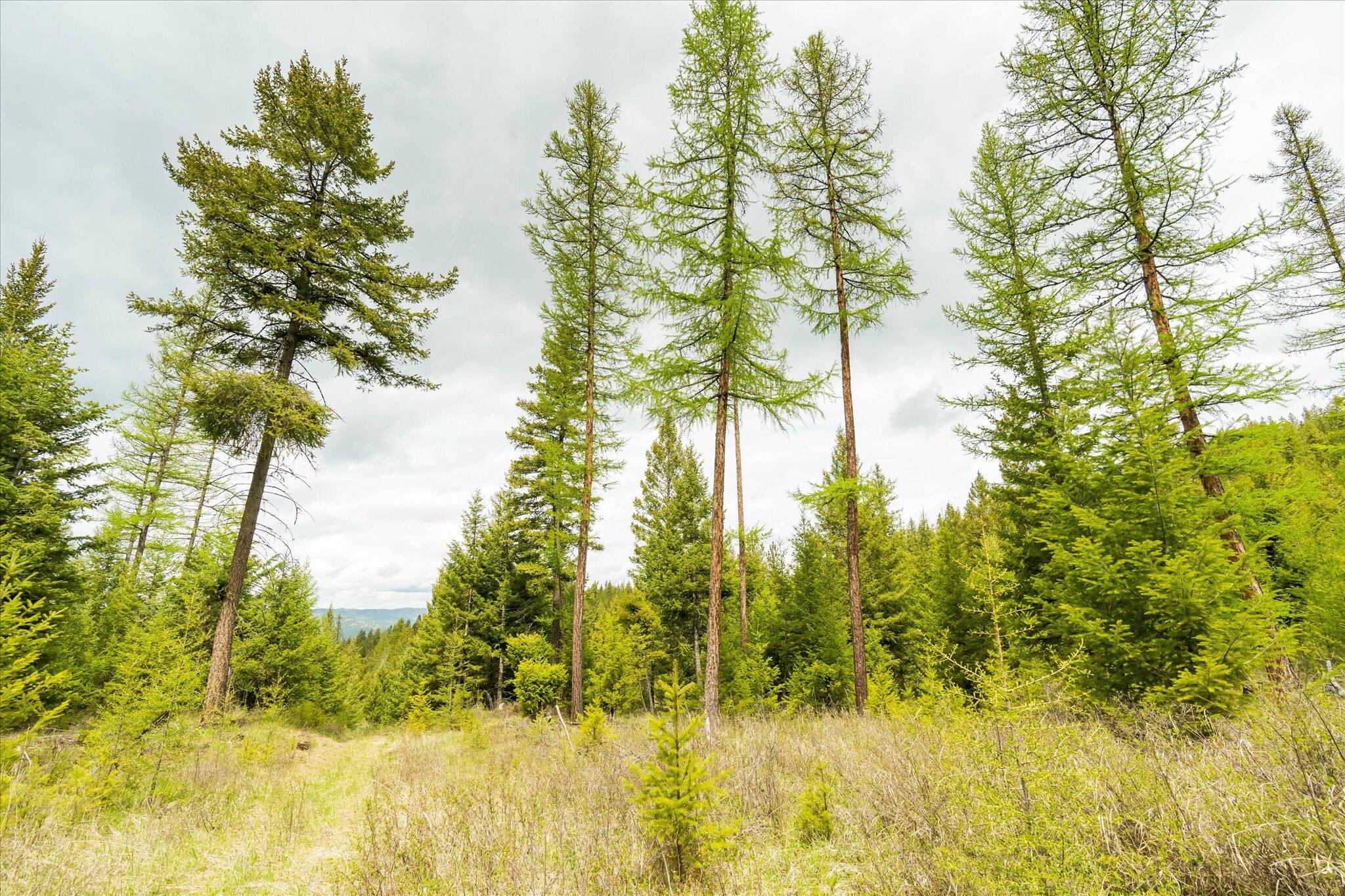 Nhn Coon Hollow Road Property Photo 18
