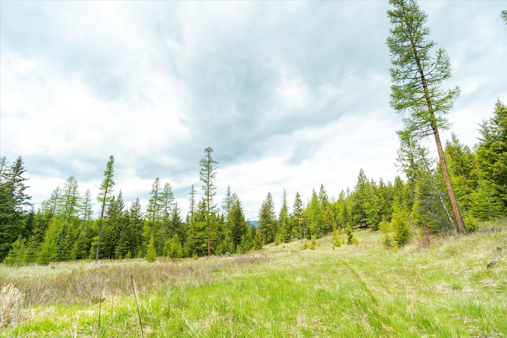 Nhn Coon Hollow Road Property Photo 19