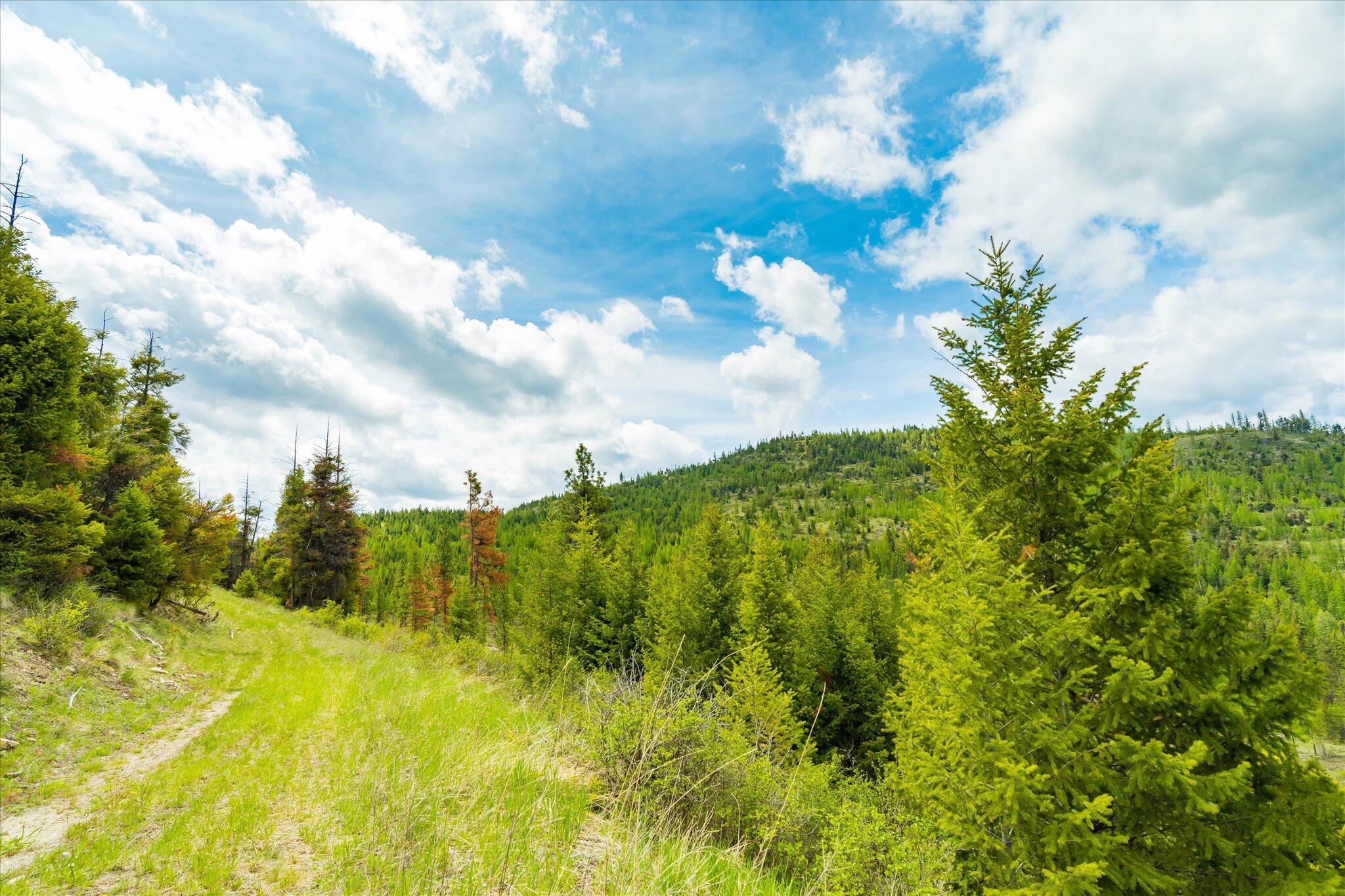 Nhn Coon Hollow Road Property Photo 26