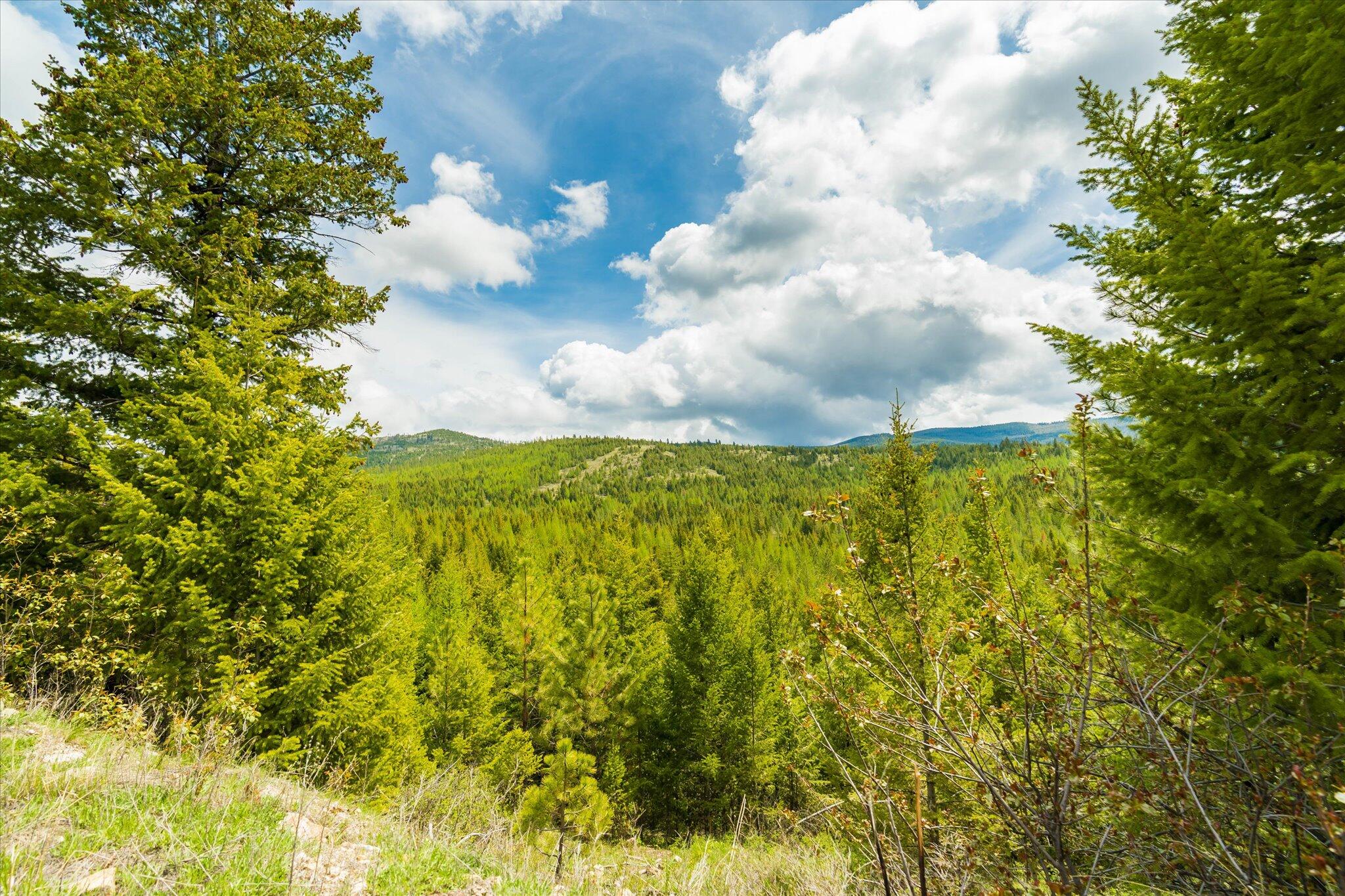 Nhn Coon Hollow Road Property Photo 30