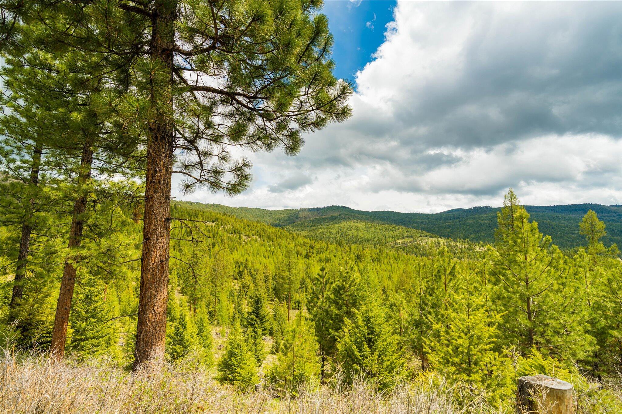 Nhn Coon Hollow Road Property Photo 39