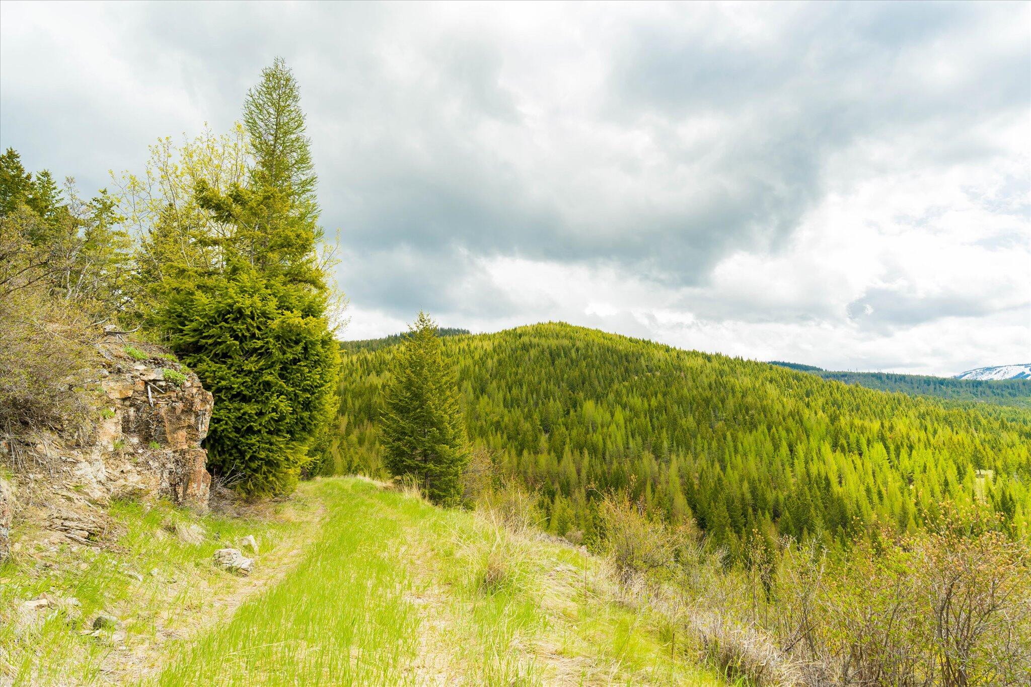 Nhn Coon Hollow Road Property Photo 42