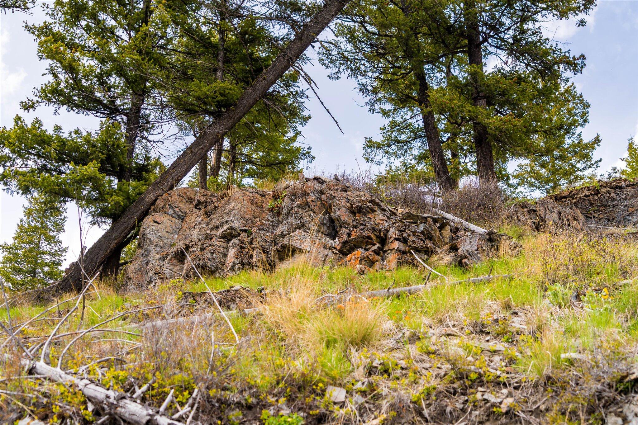Nhn Coon Hollow Road Property Photo 68