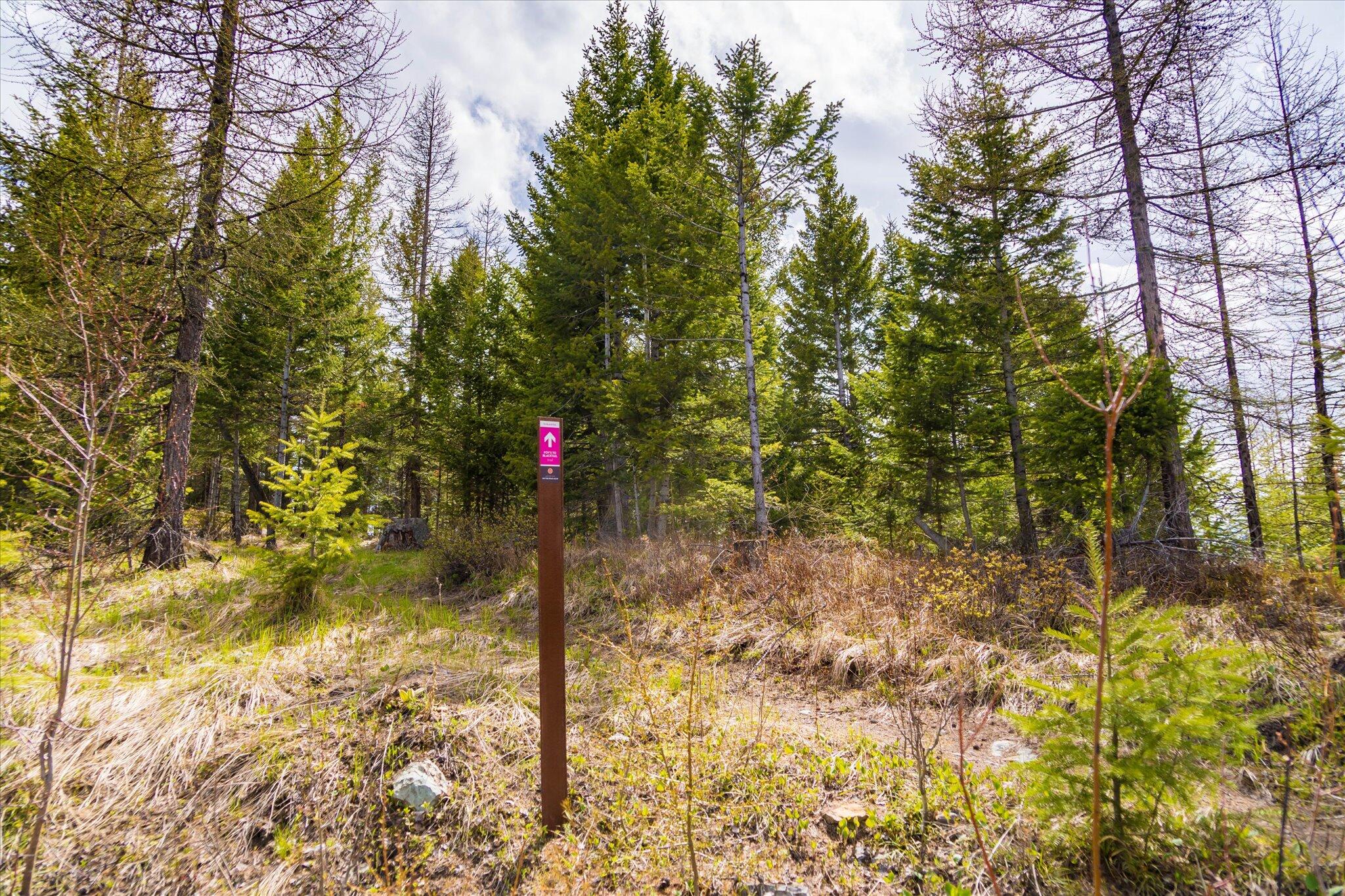 Nhn Coon Hollow Road Property Photo 77