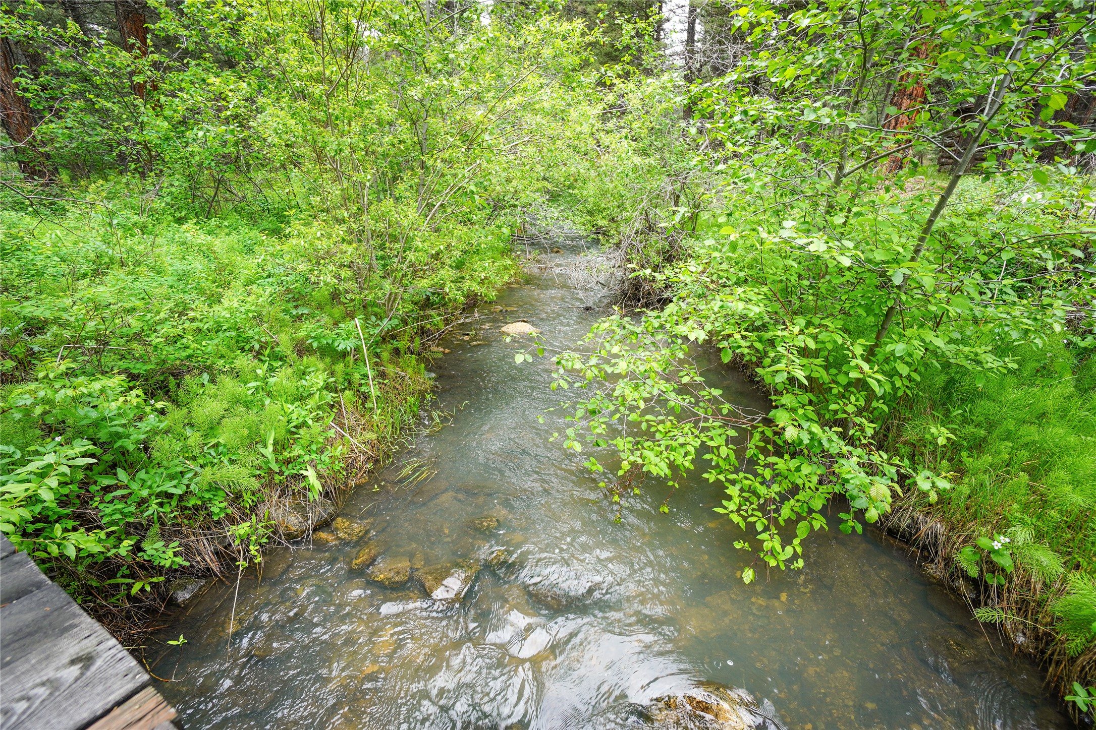 3925 Little Wolf Creek Road Property Photo 1