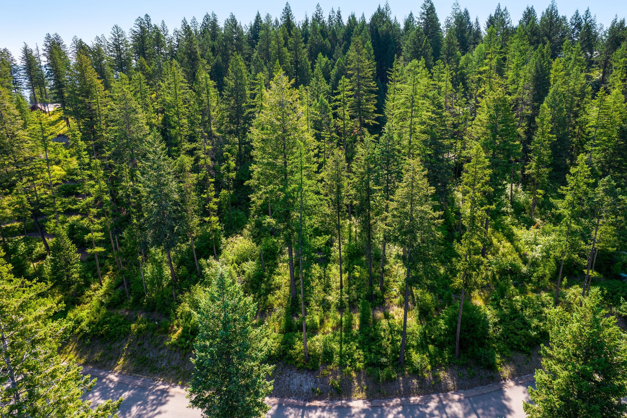 631 Saddlehorn Trail Property Photo 36