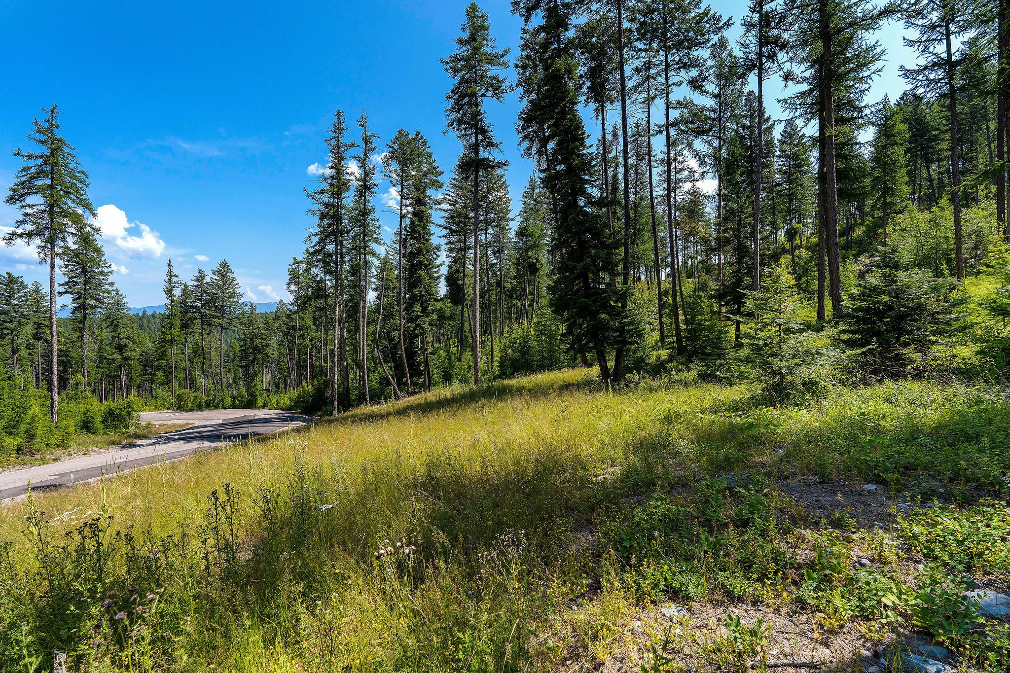 246 Trading Post Trail Property Photo 34