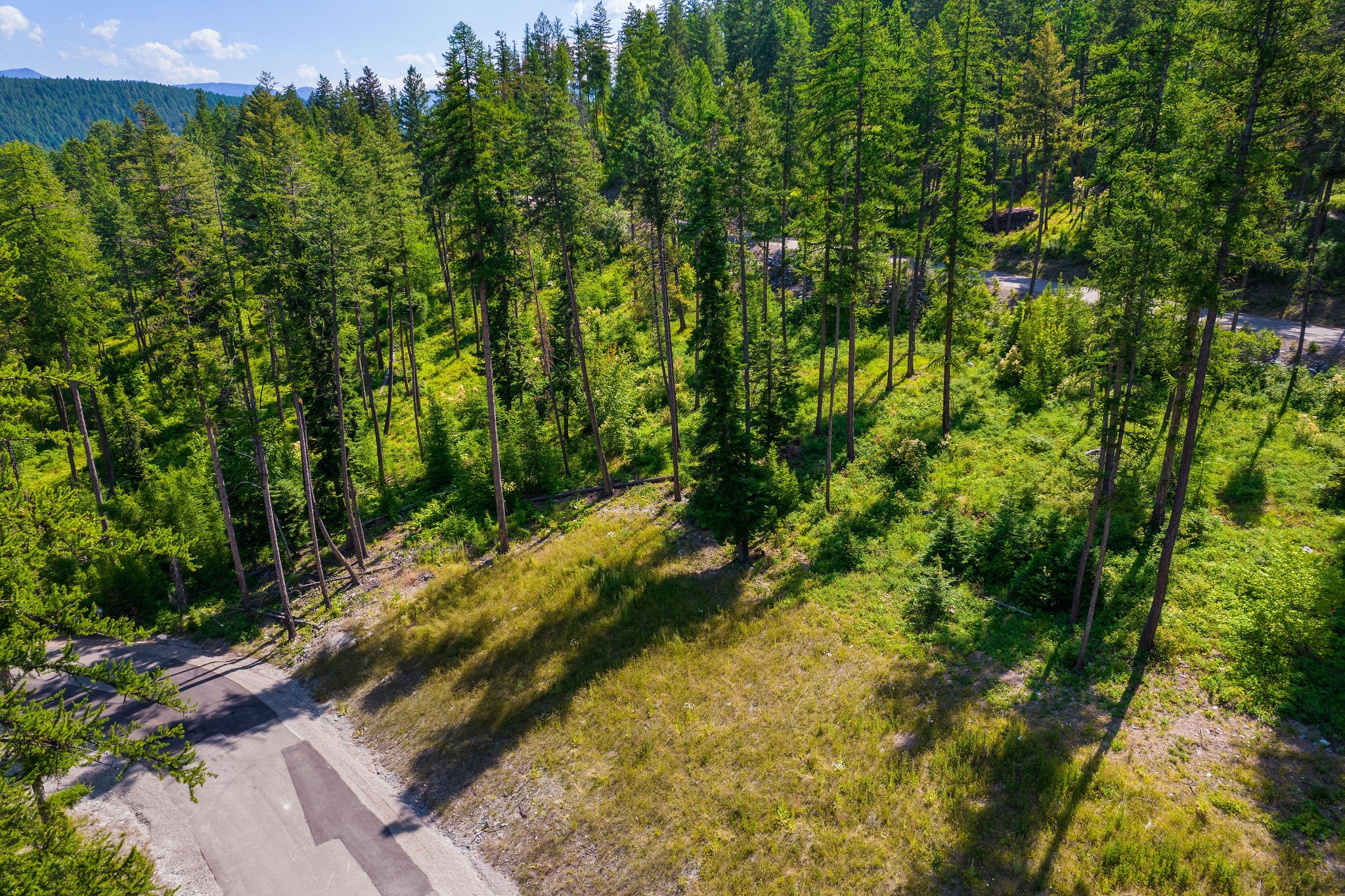 246 Trading Post Trail Property Photo 36