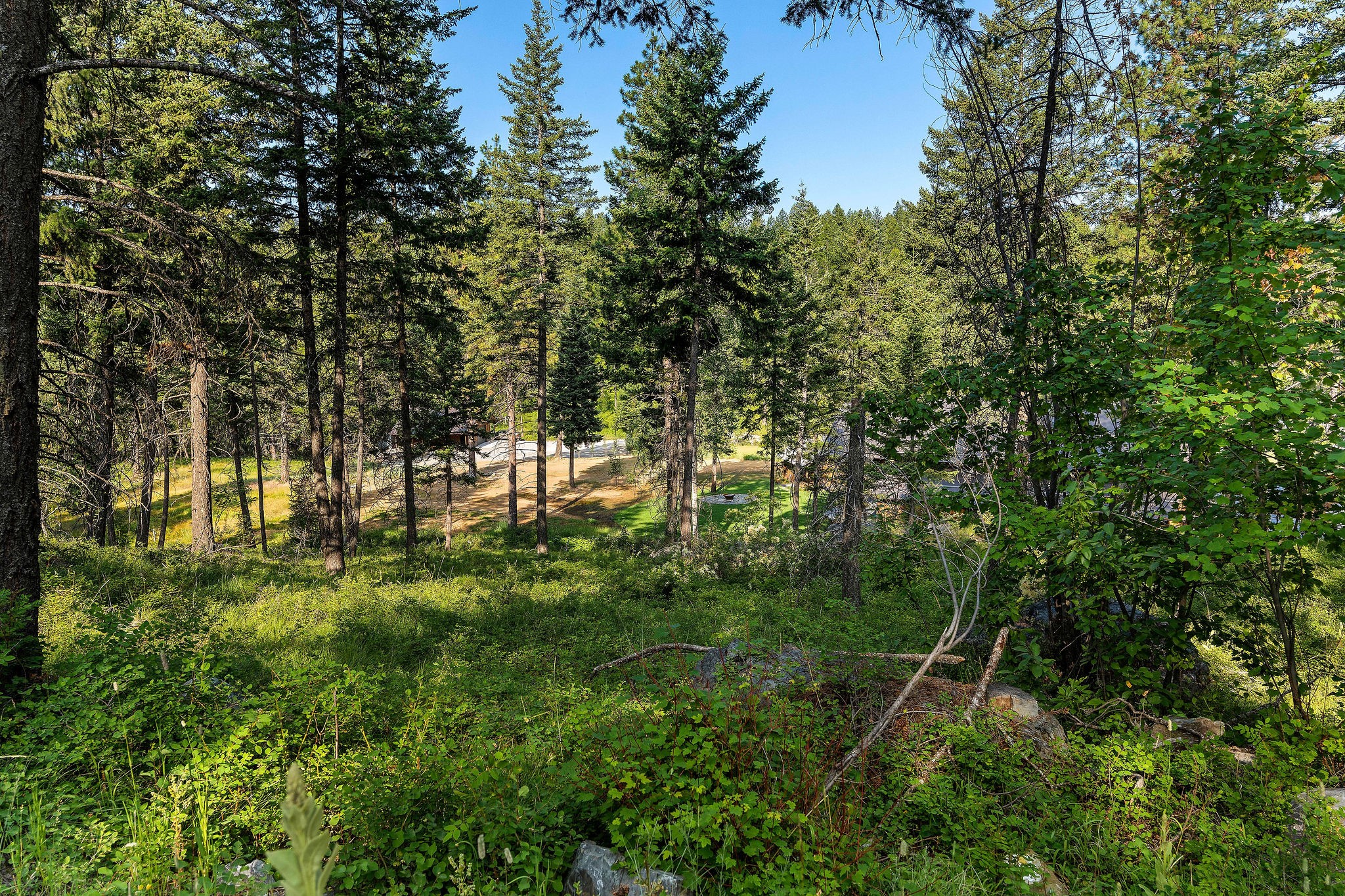 32 Bridle Court Property Photo 4
