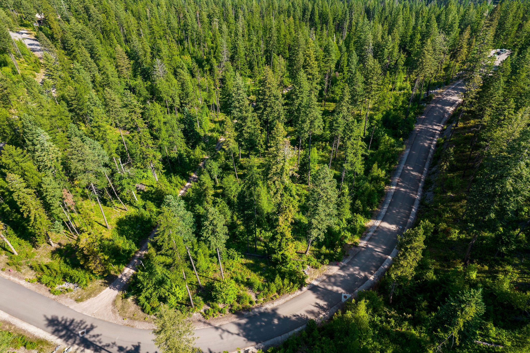 151 Timberjack Trail Property Photo 41