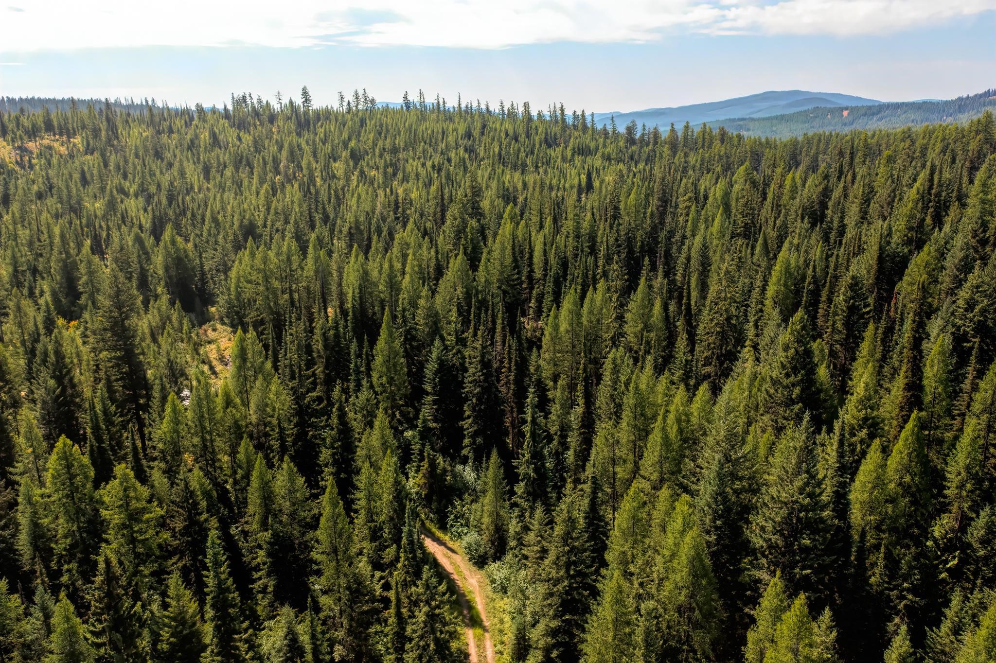 Nhn North Beaver Creek Property Photo