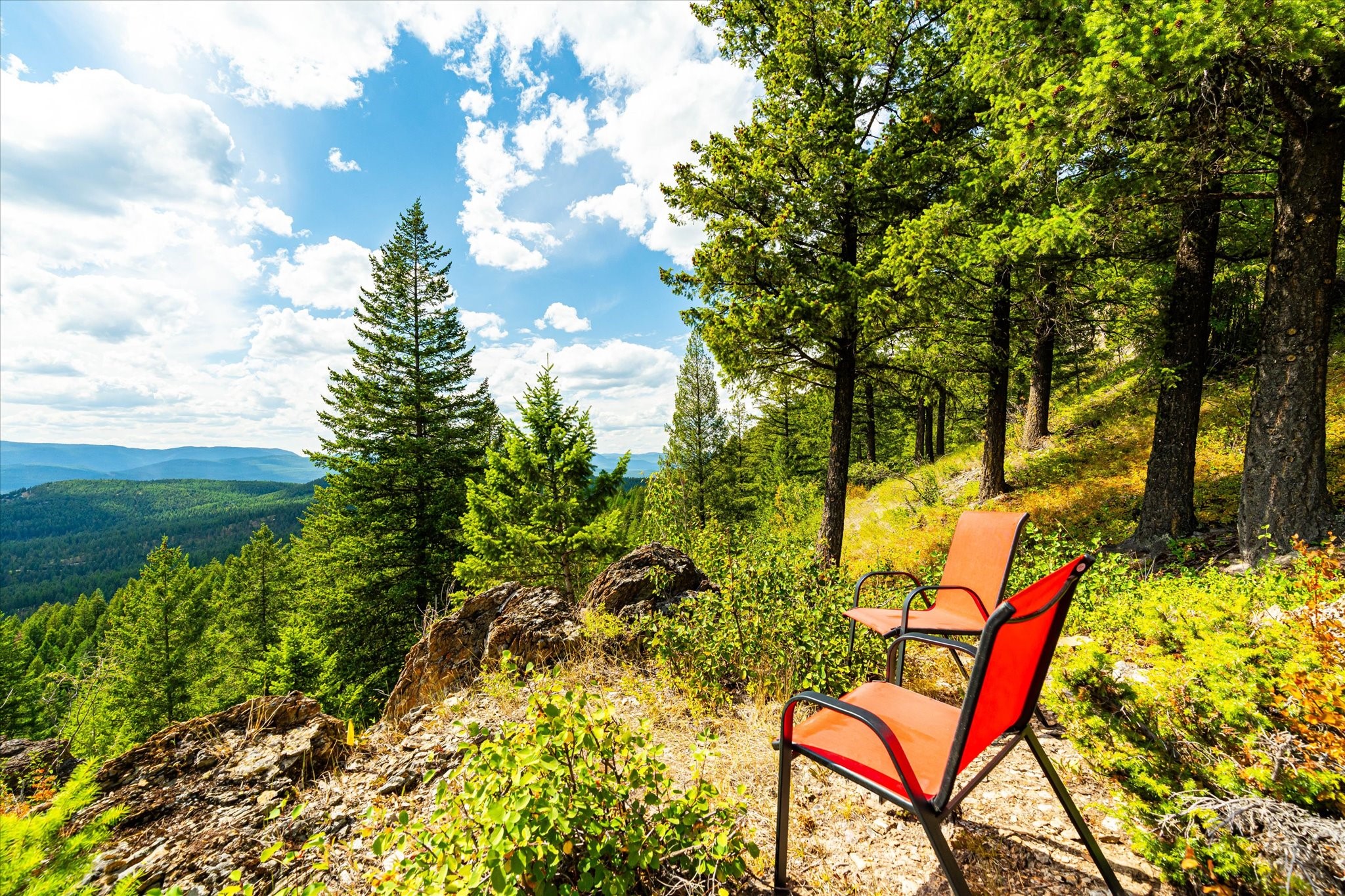 2399 Wolf Tail Pines Road Property Photo 17