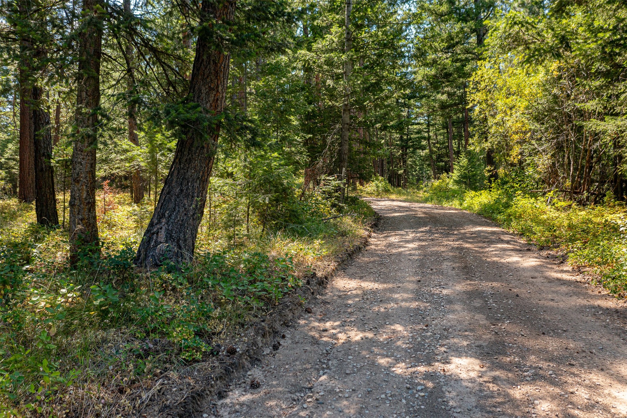 000 Gash Creek Road Property Photo