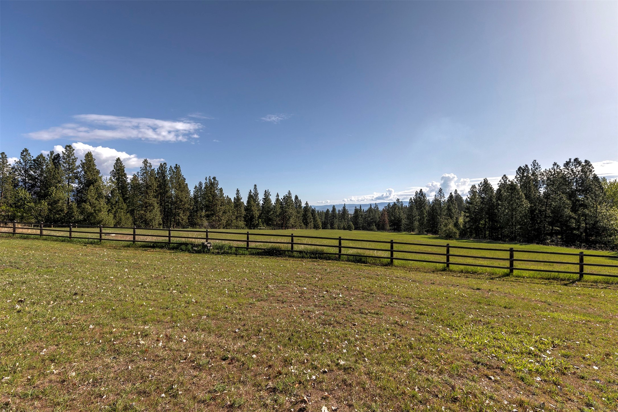 1145 Steller Way Property Photo 22