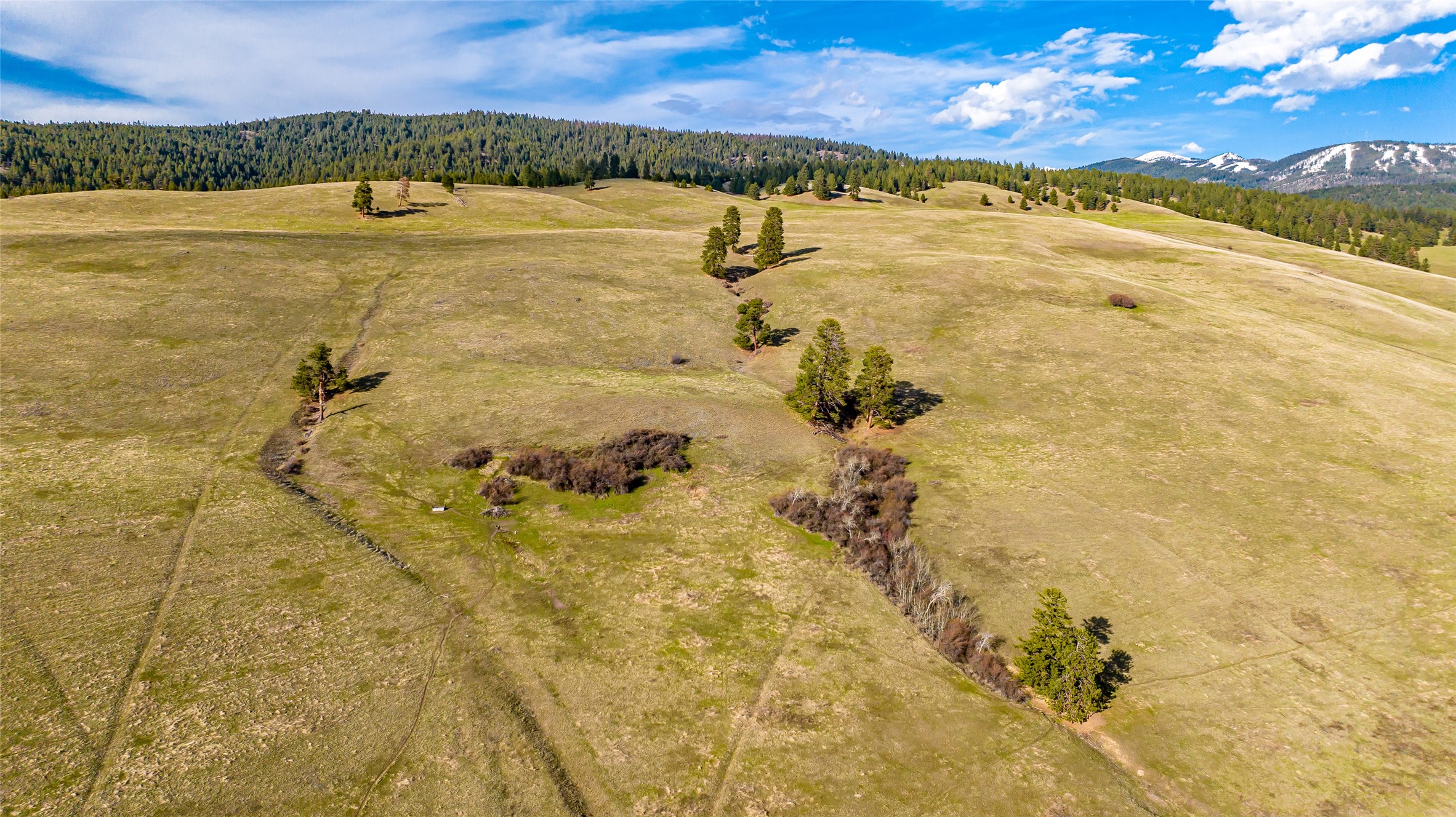 8125 Brow Tine Drive Property Photo 7
