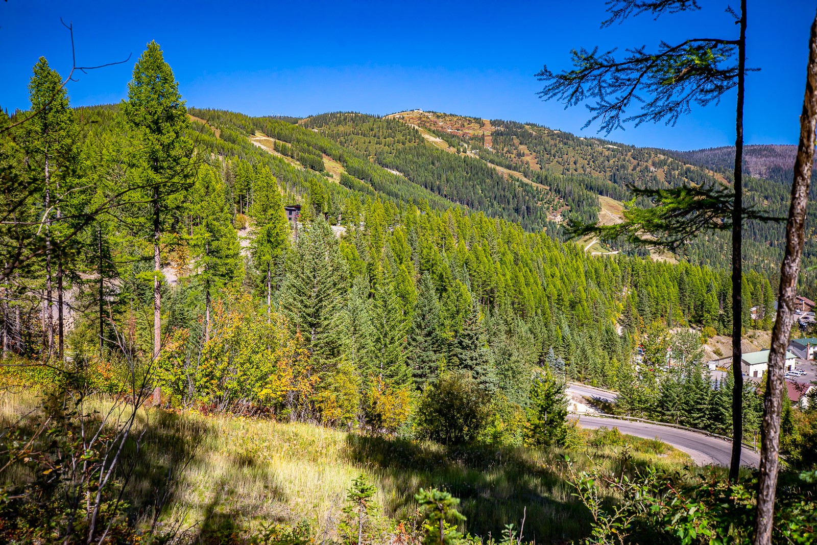 1051 Elk Camp Loop Property Photo 1