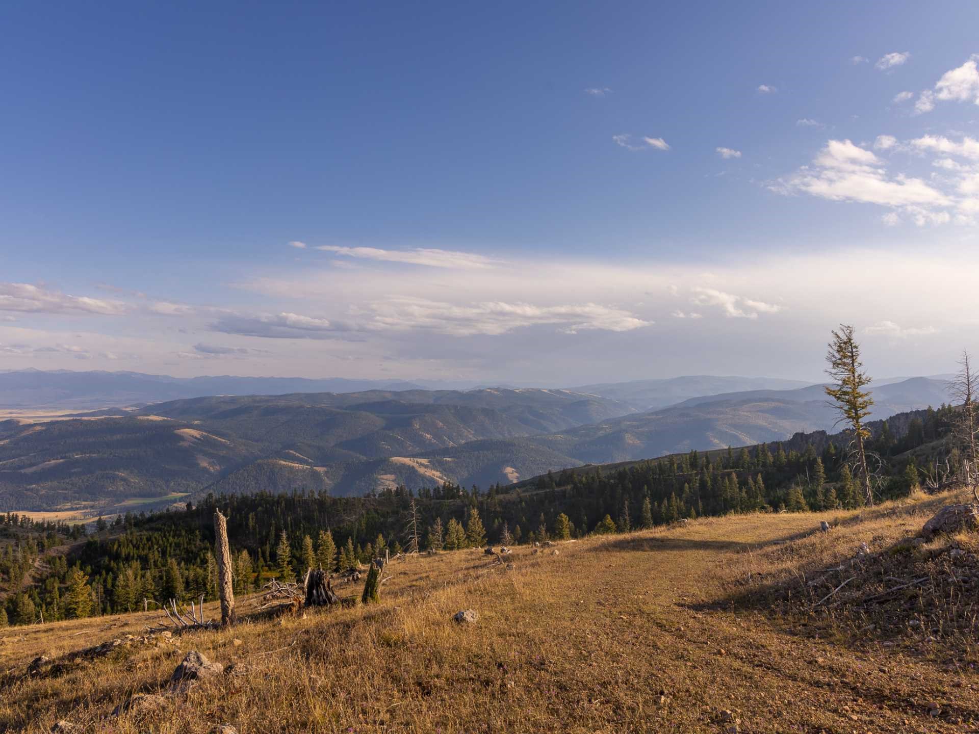 Nhn Five Ranges Ranch Property Photo 4
