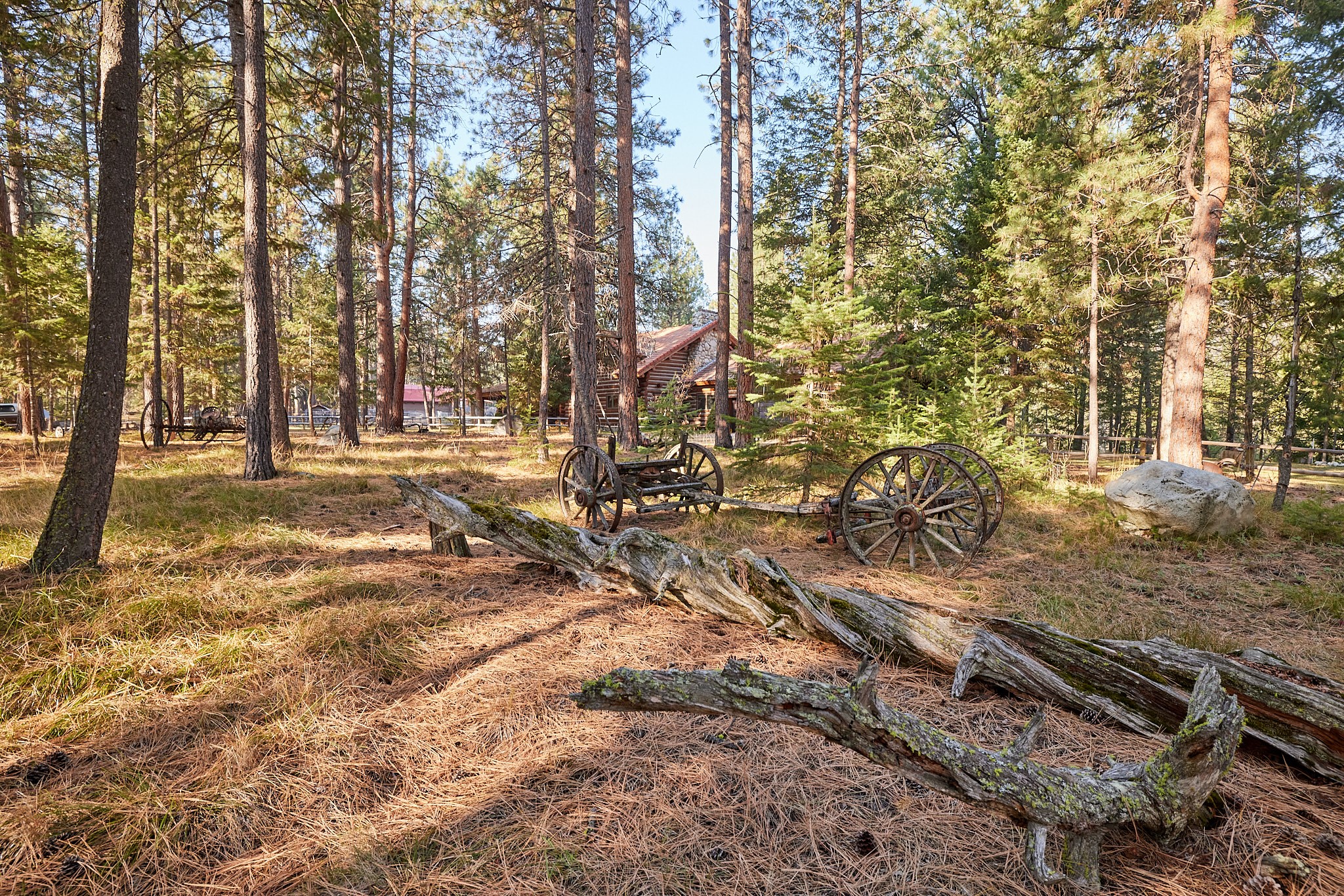 2133 Lost Horse Trail Property Photo 89