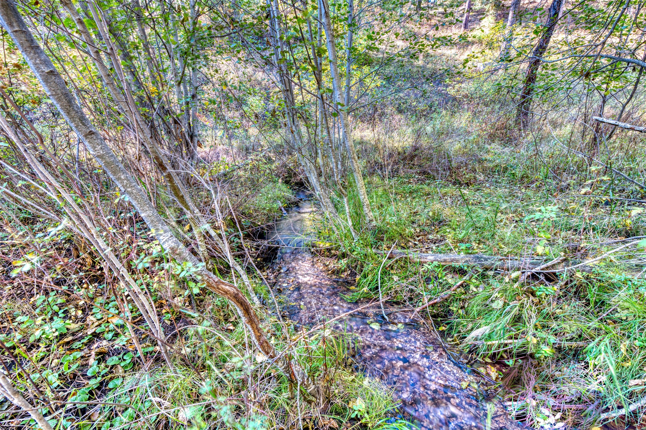 1334 Burr Ridge Road Property Photo 3