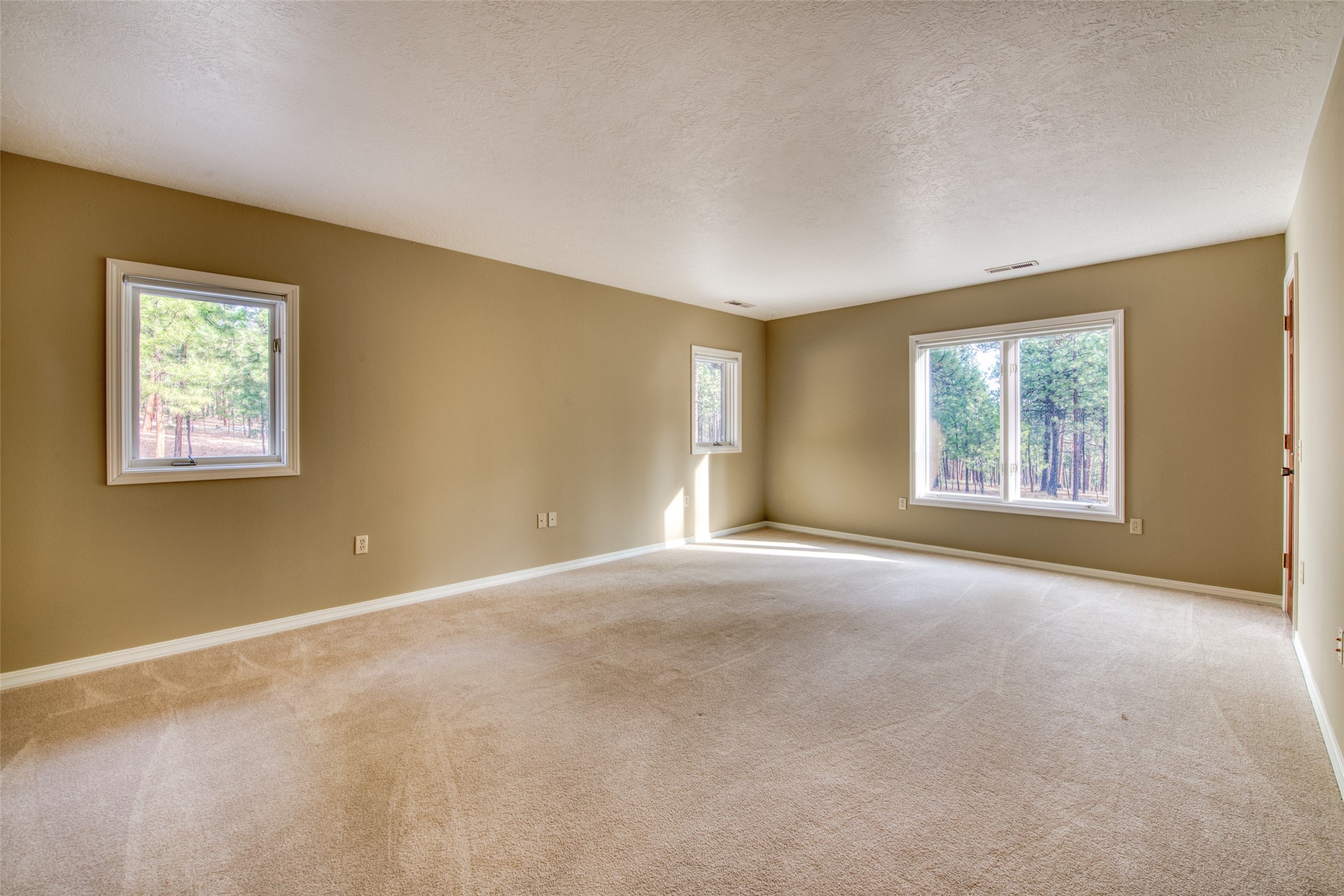 1334 Burr Ridge Road Property Photo 29