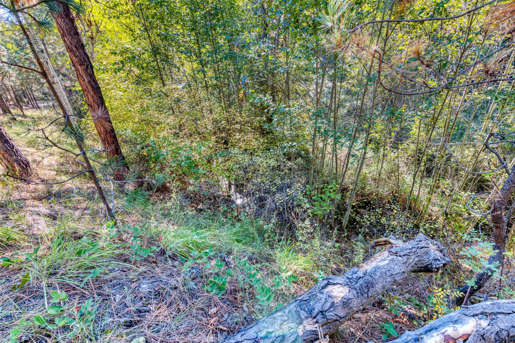 1334 Burr Ridge Road Property Photo 58