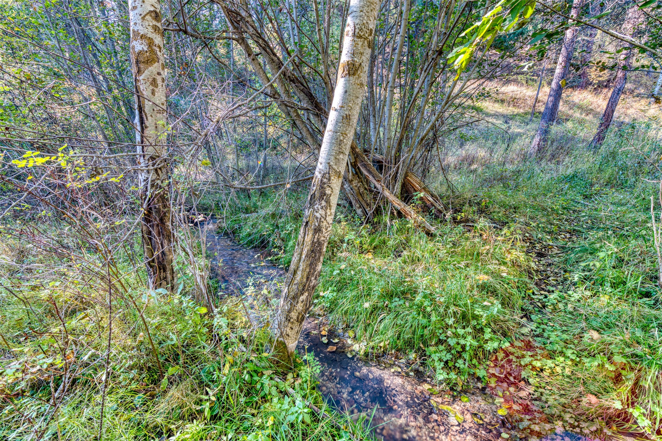 1334 Burr Ridge Road Property Photo 59