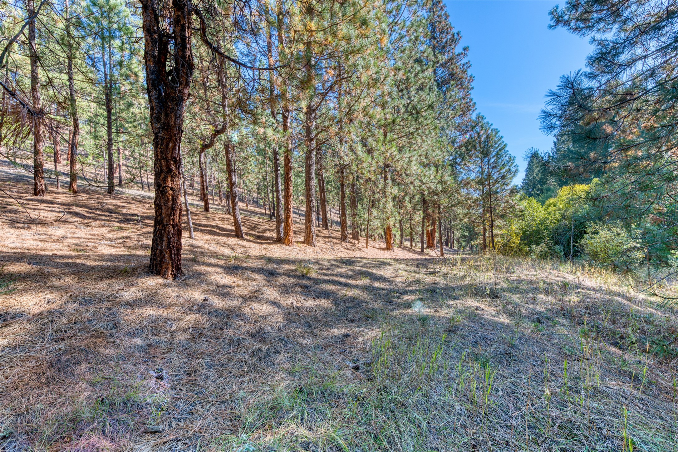 1334 Burr Ridge Road Property Photo 61