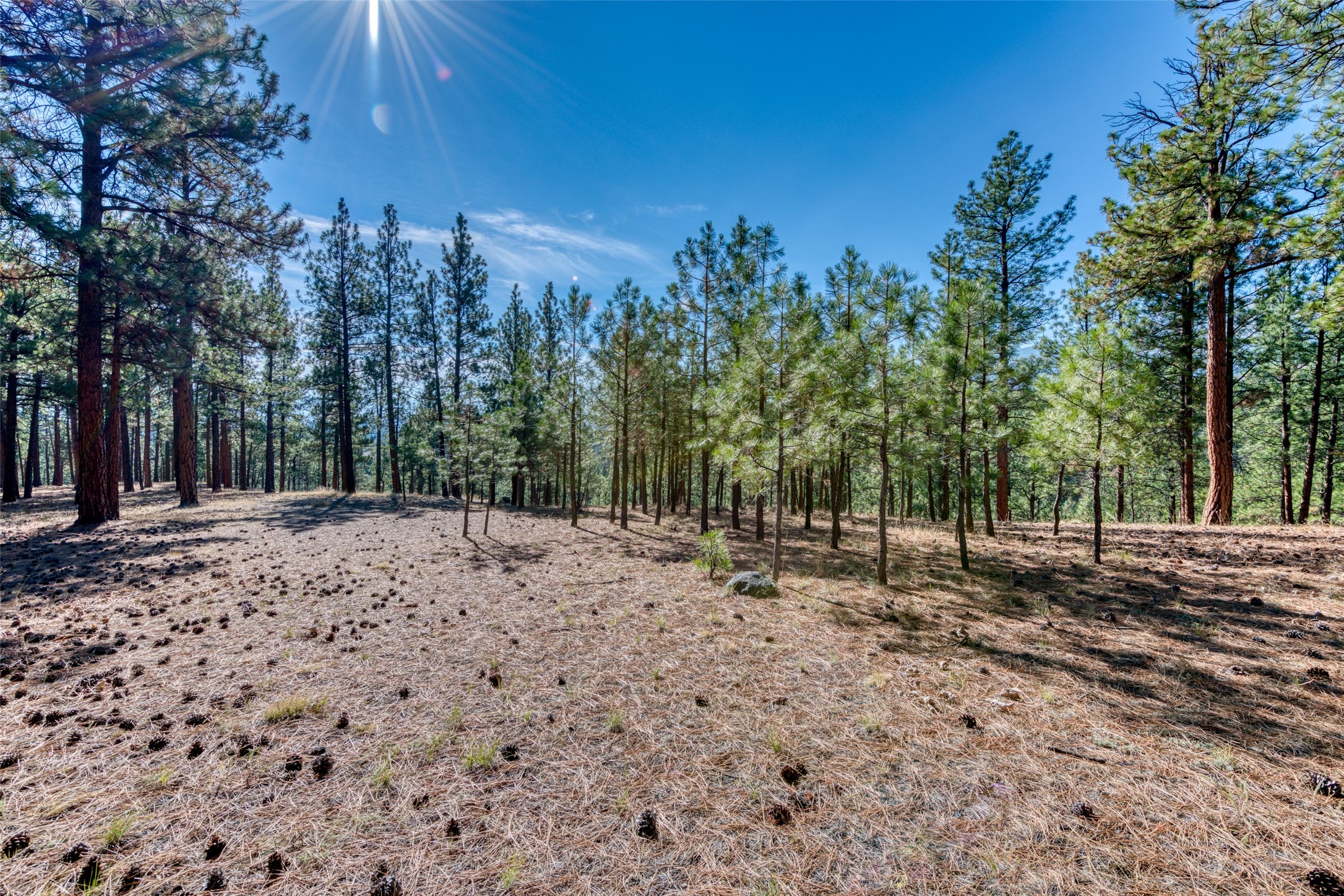 1334 Burr Ridge Road Property Photo 69