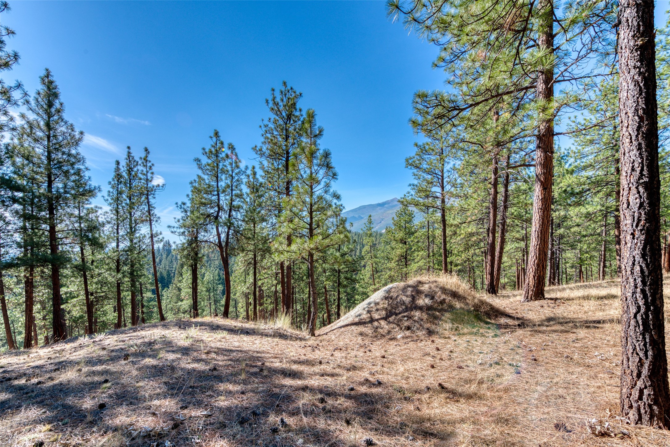 1334 Burr Ridge Road Property Photo 71