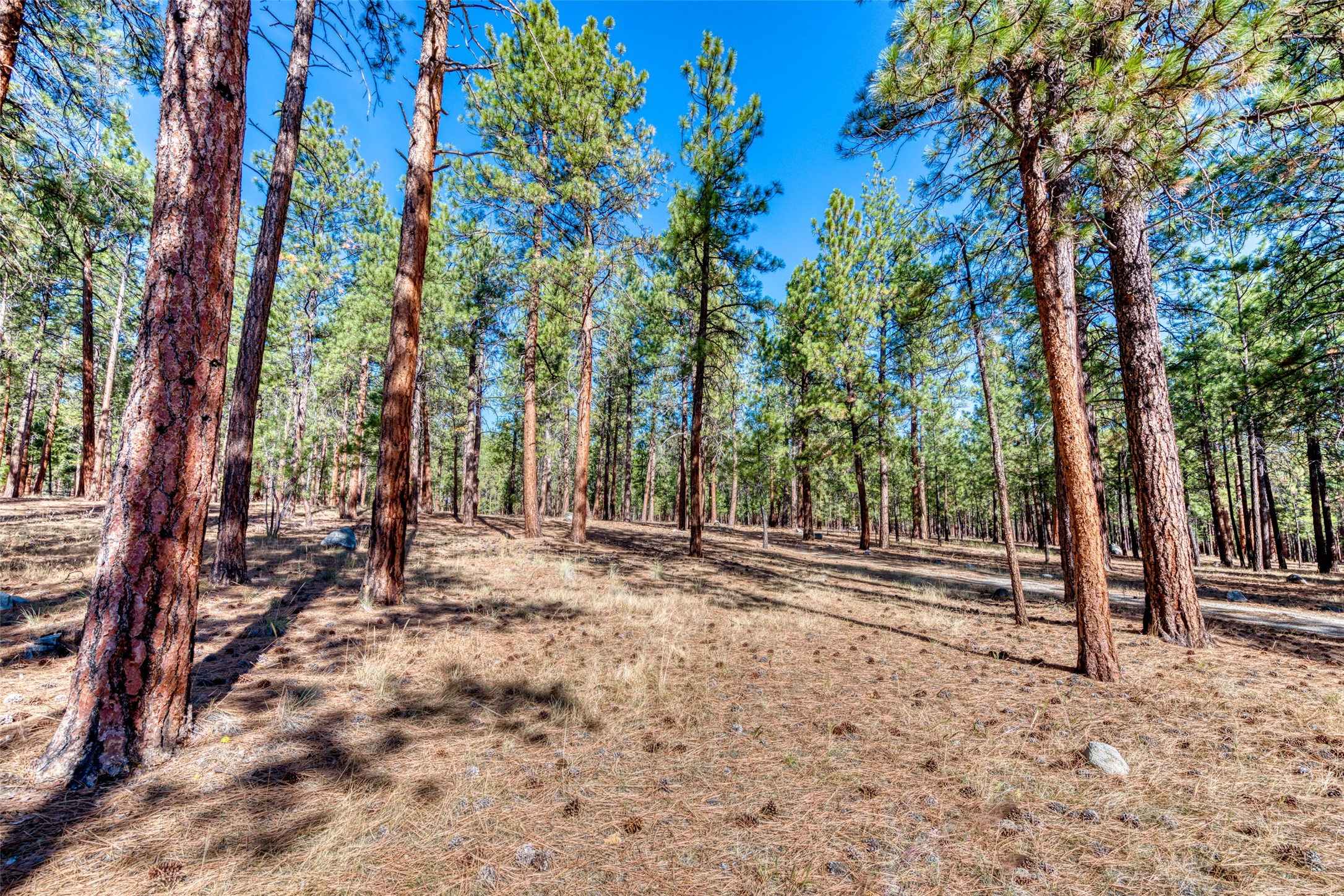 1334 Burr Ridge Road Property Photo 74