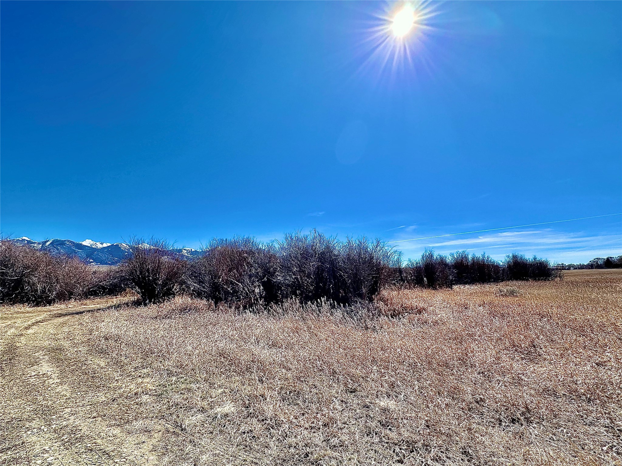 Lot 10 Jefferson Acres-tobacco Root Property Photo