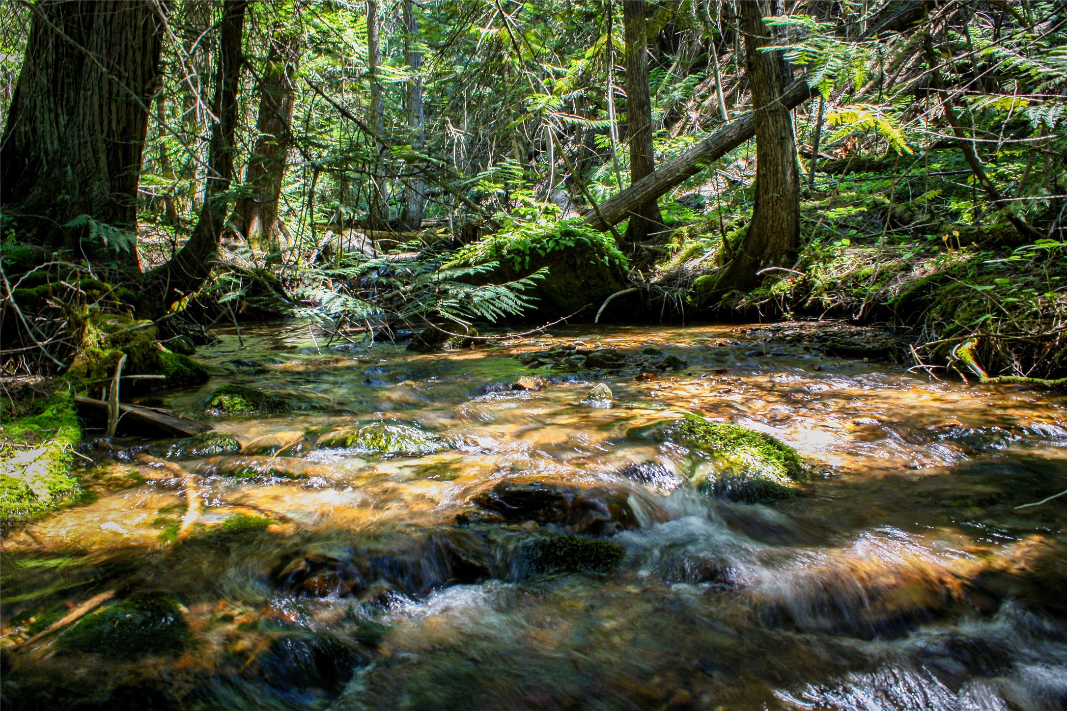 Nhn Johnson Creek Road Property Photo