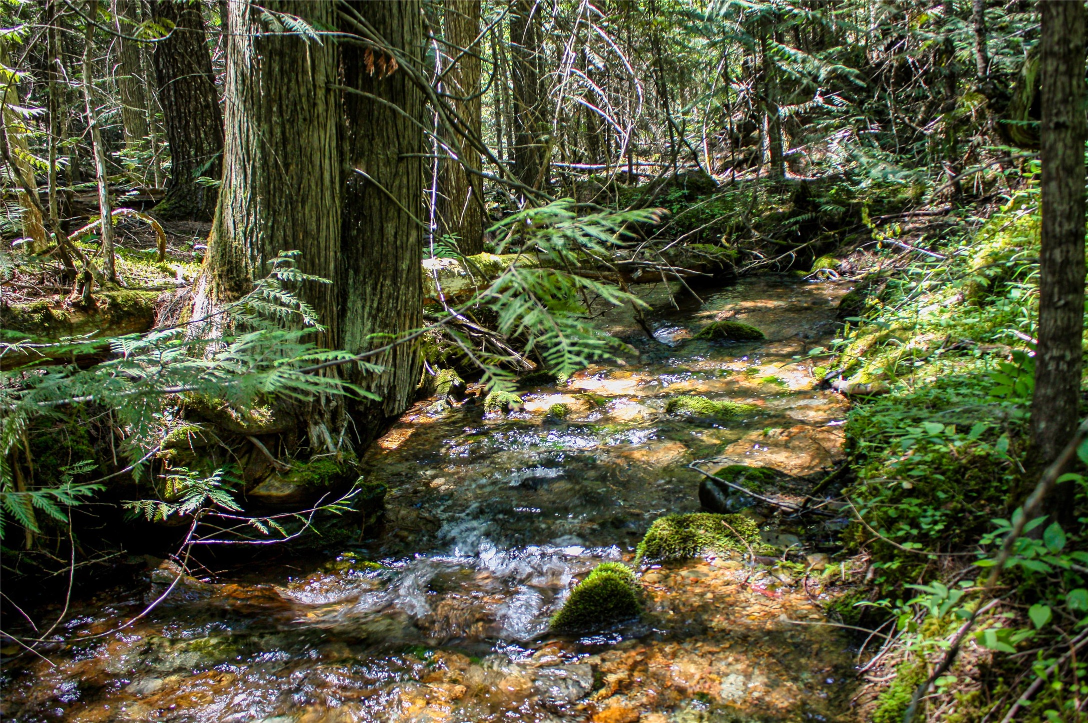 Nhn Johnson Creek Road Property Photo 3