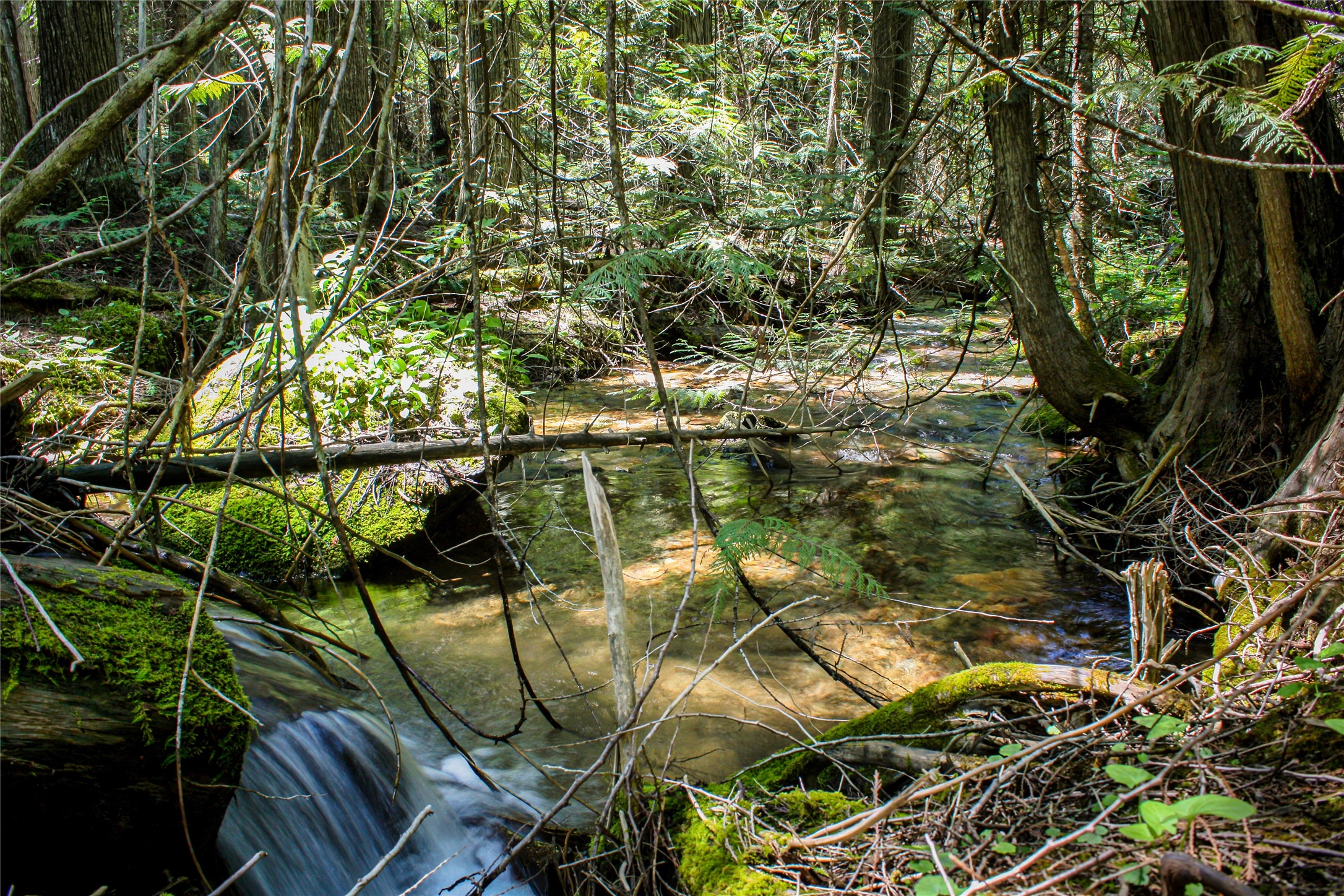 Nhn Johnson Creek Road Property Photo 4