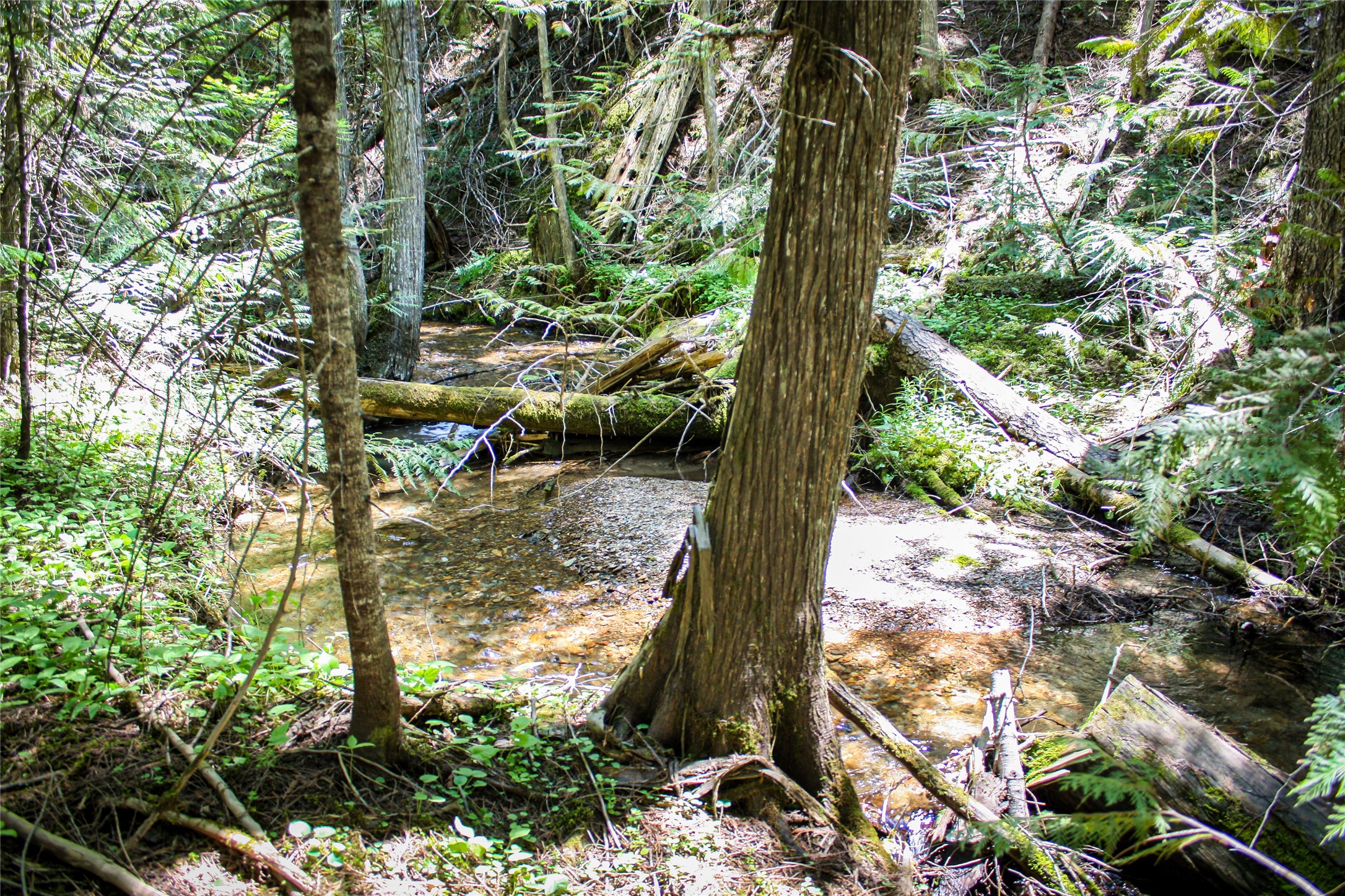 Nhn Johnson Creek Road Property Photo 6