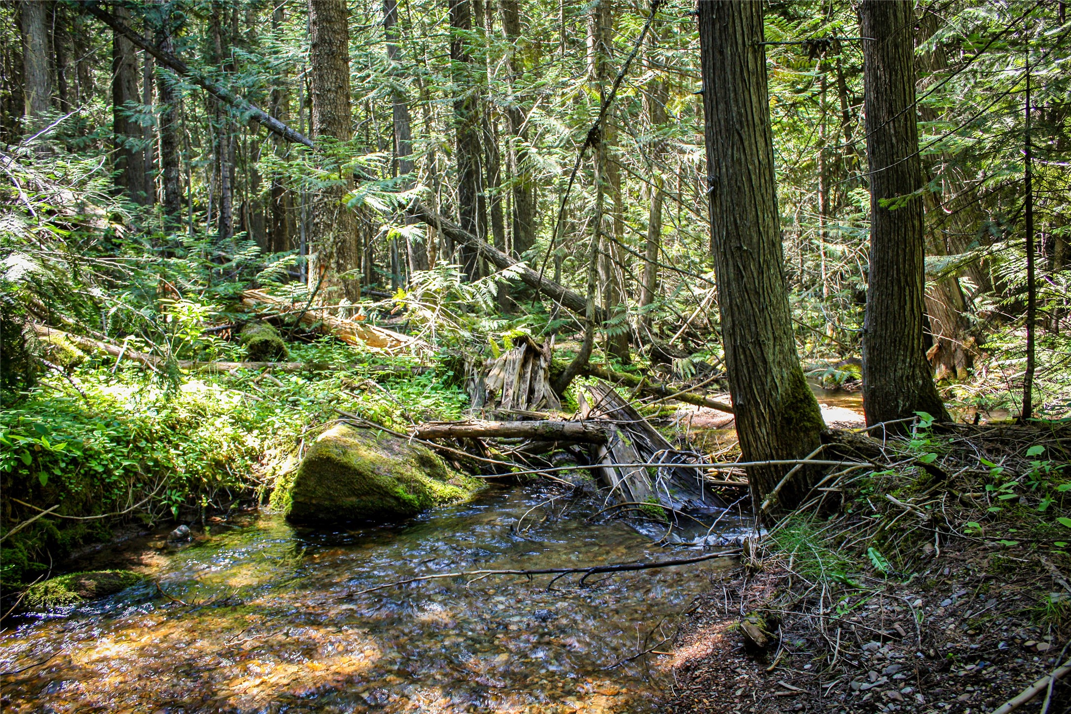 Nhn Johnson Creek Road Property Photo 7