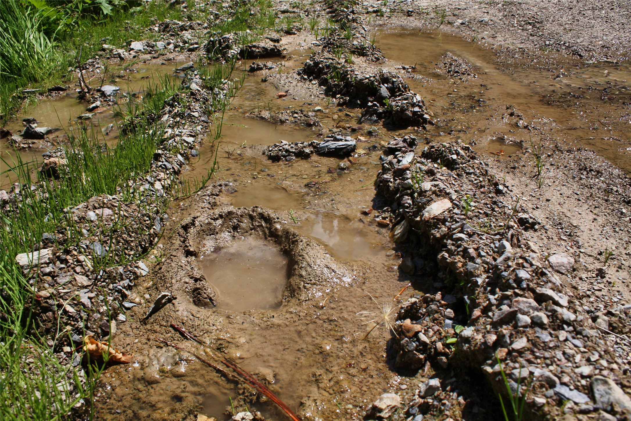 Nhn Johnson Creek Road Property Photo 15