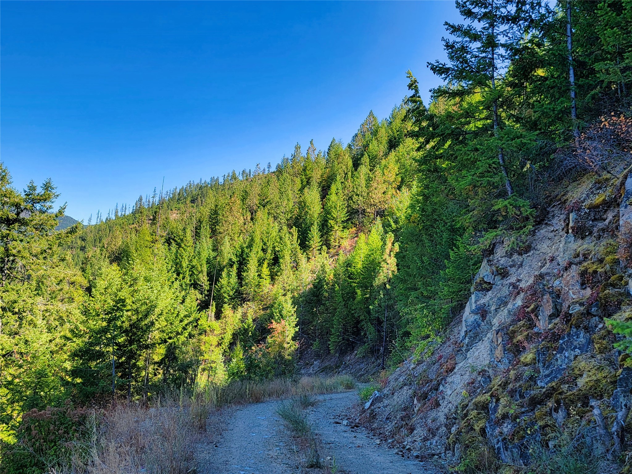Nhn Johnson Creek Road Property Photo 16
