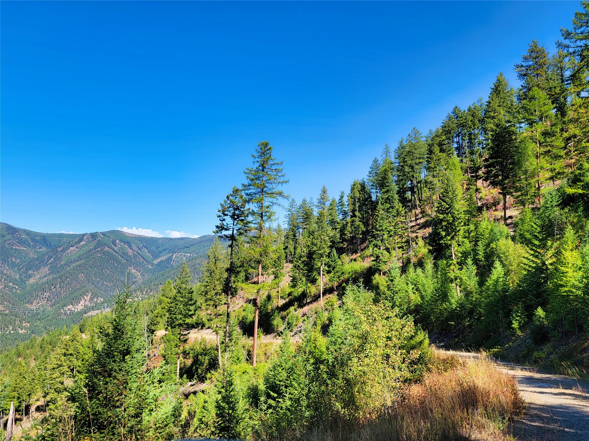 Nhn Johnson Creek Road Property Photo 17
