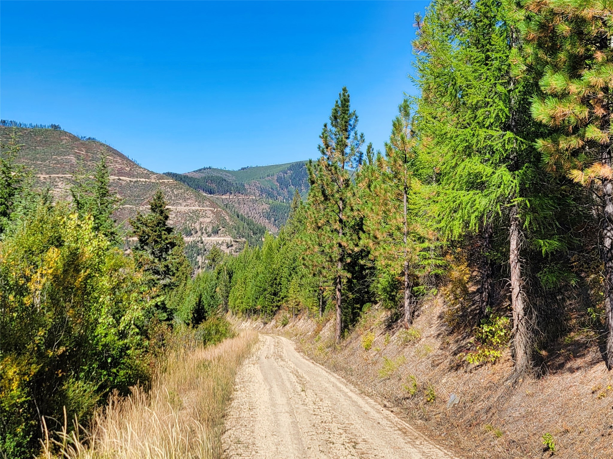 Nhn Johnson Creek Road Property Photo 18